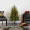 4ft. Pre-Lit Colorado Mountain Fir Artificial Christmas Tree, Clear LED Lights